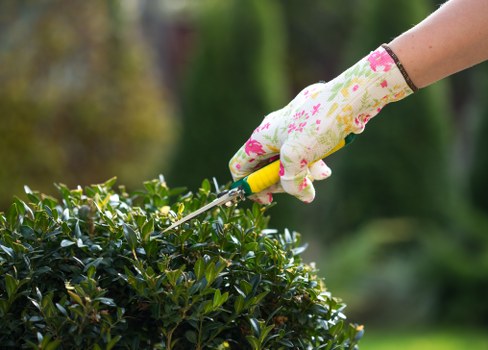 Planting and border preparation for a Kensington garden