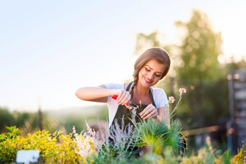 Professional landscaping in Kensington with a refined garden design concept
