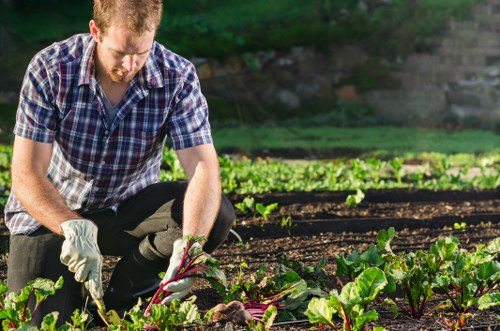 Landscaping team reviewing ethical labour compliance documents