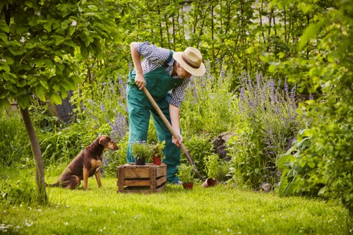 Complaint record and site issue review for landscaping work