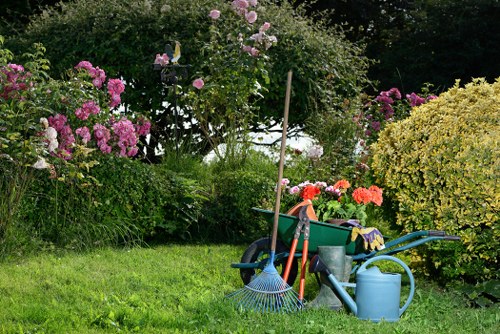 Garden drainage assessment in a Kensington residential garden