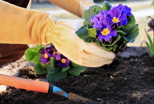 Free quote preparation for a Kensington landscaping service