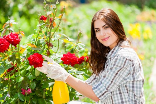Seasonal planting and container arrangements for a Kensington property