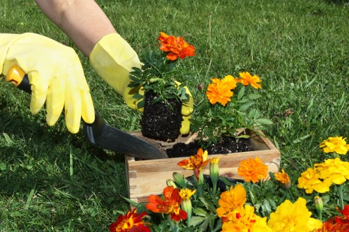 Small-load garden waste removal for a Kensington property