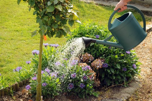Policy update notice for a landscaping website