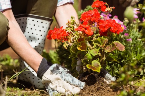 Charity donation of reusable garden materials